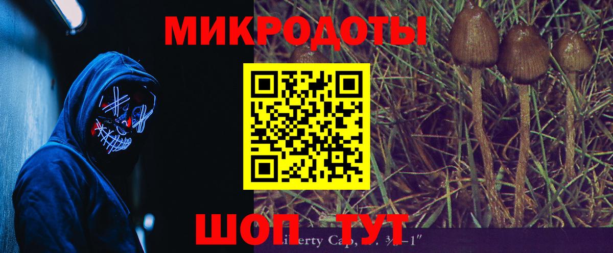 Галлюциногенные грибы прущие грибы  где можно купить   Каменка  Вход с VPN 